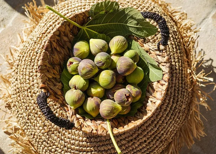 Casasantantonio 18th Century Luxury Mansion Apartmán Fira (Santorini)